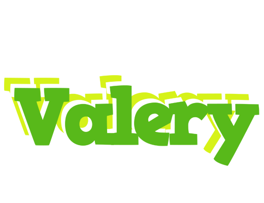 Valery picnic logo