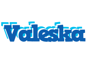 Valeska business logo