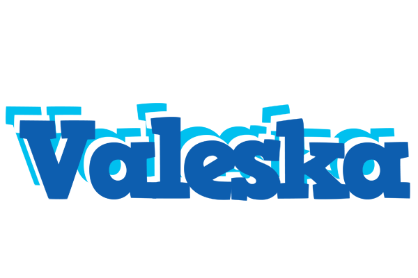 Valeska business logo