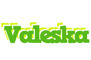 Valeska picnic logo