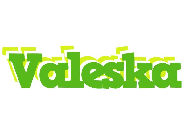 Valeska picnic logo