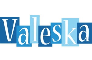 Valeska winter logo