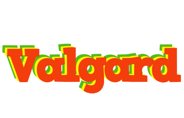 Valgard bbq logo