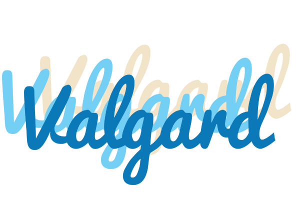 Valgard breeze logo