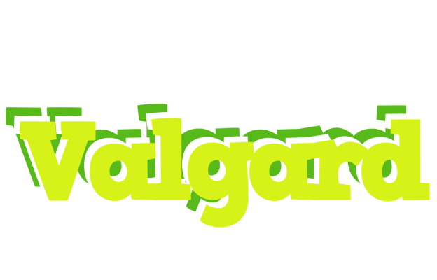 Valgard citrus logo