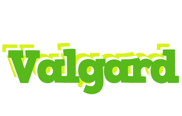Valgard picnic logo