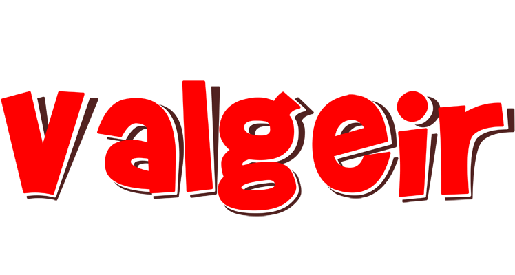 Valgeir basket logo