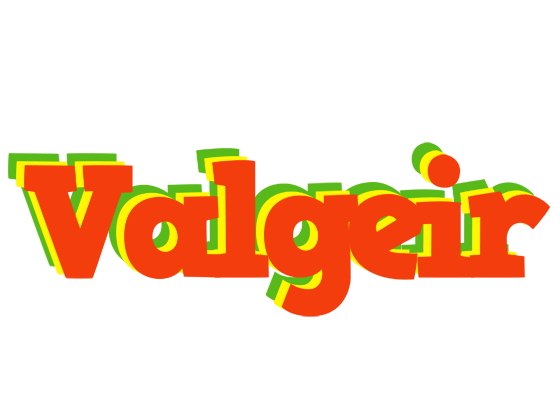 Valgeir bbq logo