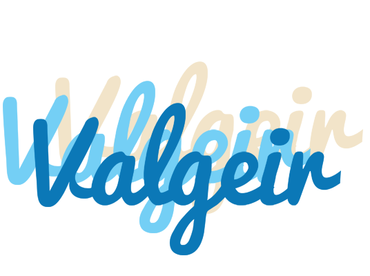 Valgeir breeze logo
