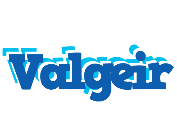 Valgeir business logo