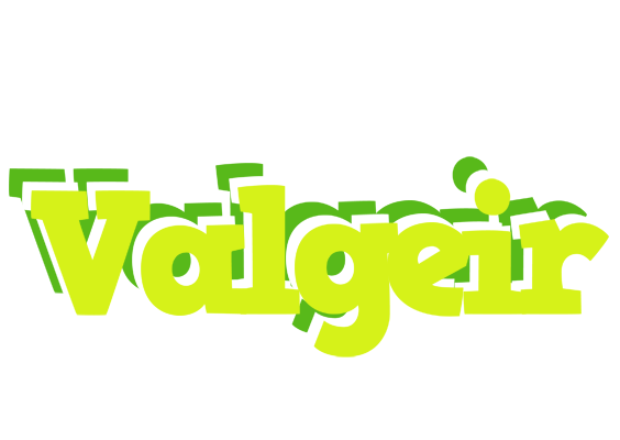Valgeir citrus logo