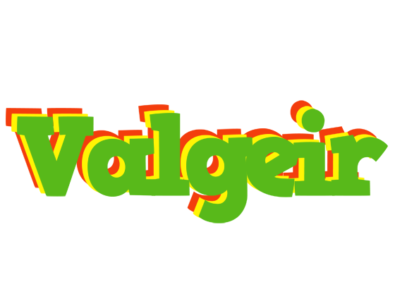 Valgeir crocodile logo