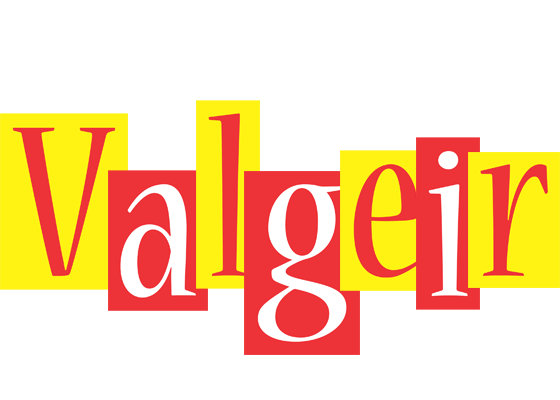 Valgeir errors logo