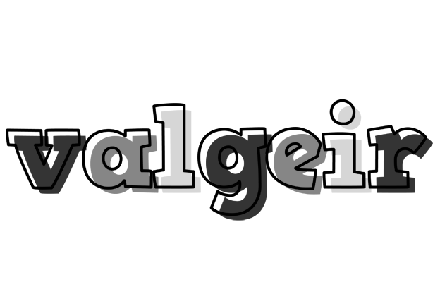 Valgeir night logo