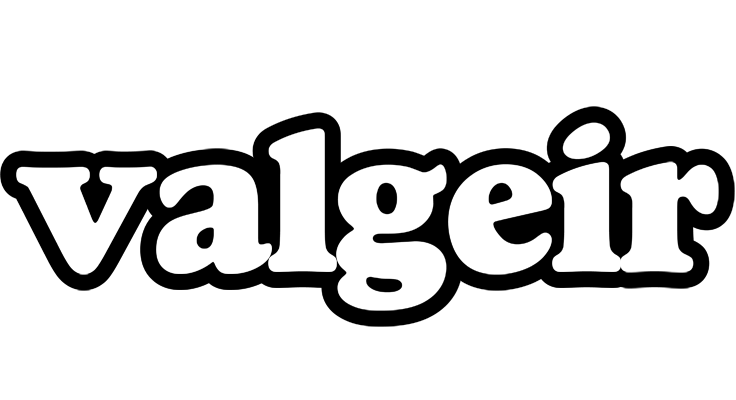 Valgeir panda logo