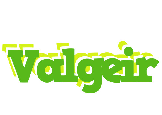 Valgeir picnic logo