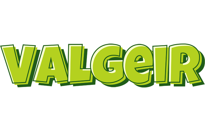 Valgeir summer logo