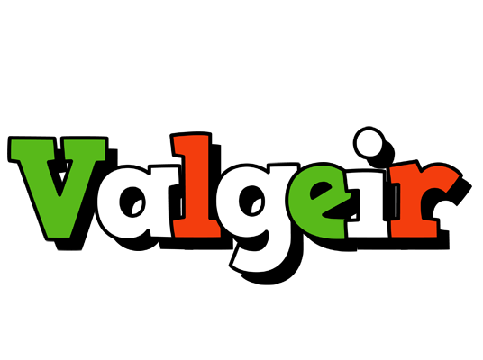 Valgeir venezia logo