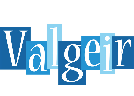 Valgeir winter logo