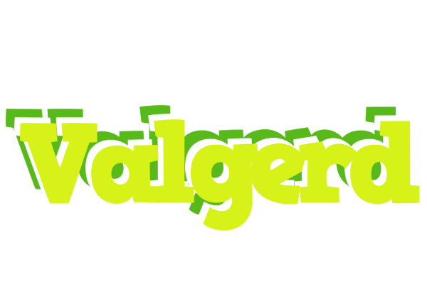Valgerd citrus logo