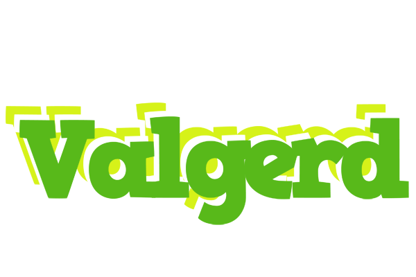 Valgerd picnic logo