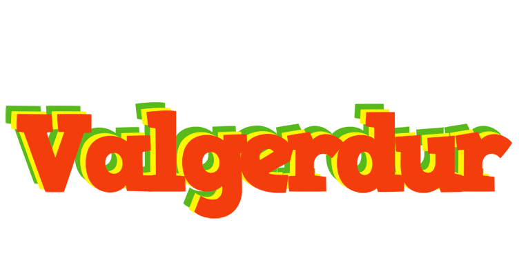 Valgerdur bbq logo