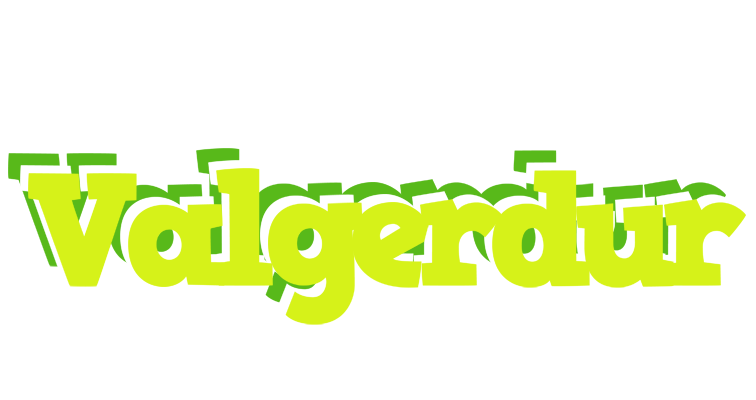 Valgerdur citrus logo
