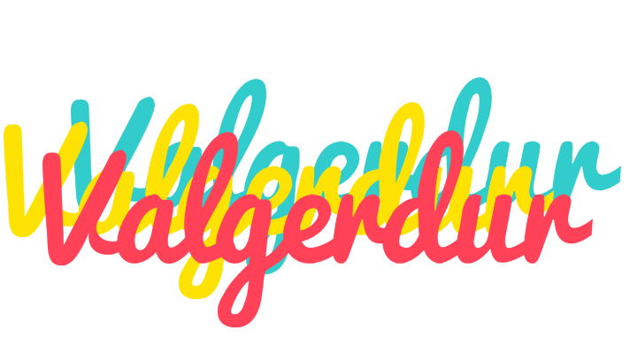 Valgerdur disco logo