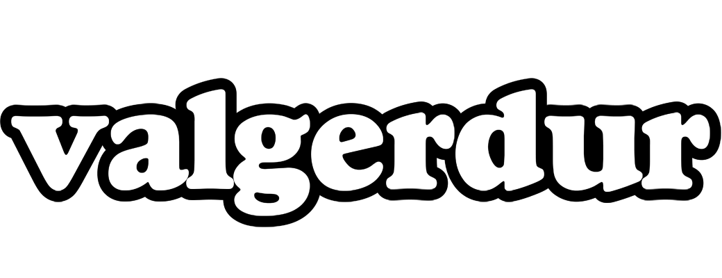 Valgerdur panda logo