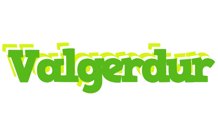 Valgerdur picnic logo