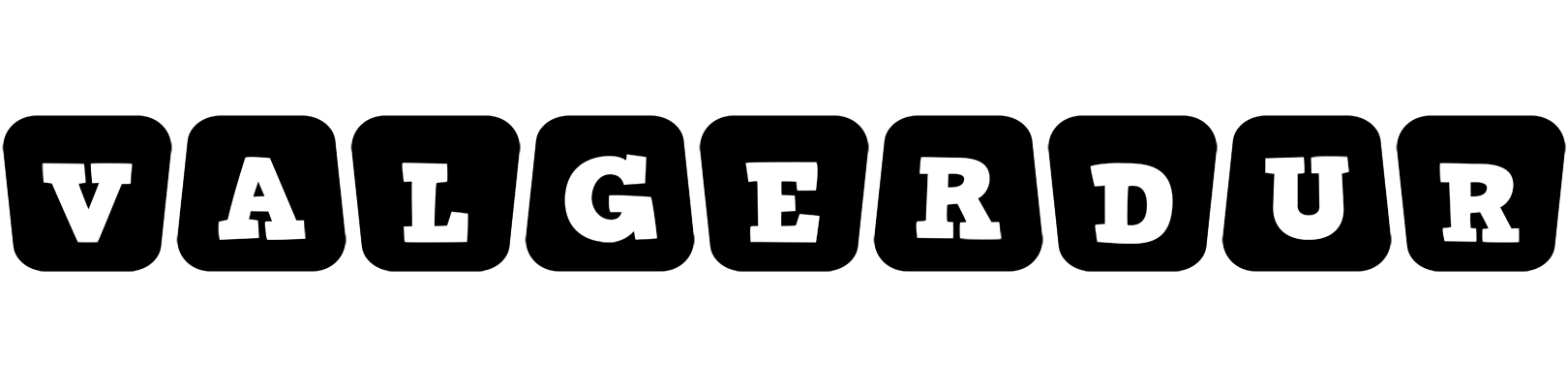 Valgerdur racing logo