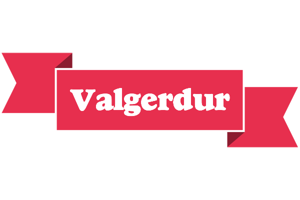 Valgerdur sale logo