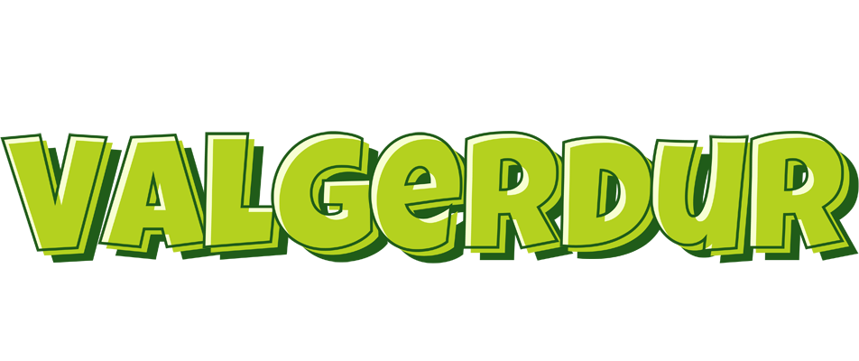Valgerdur summer logo