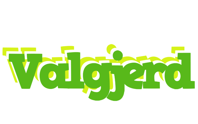 Valgjerd picnic logo