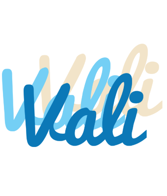 Vali breeze logo