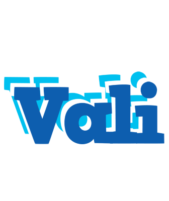 Vali business logo