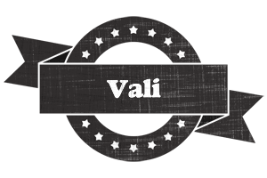 Vali grunge logo