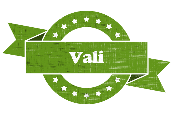 Vali natural logo
