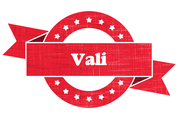 Vali passion logo