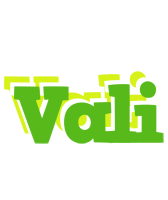 Vali picnic logo