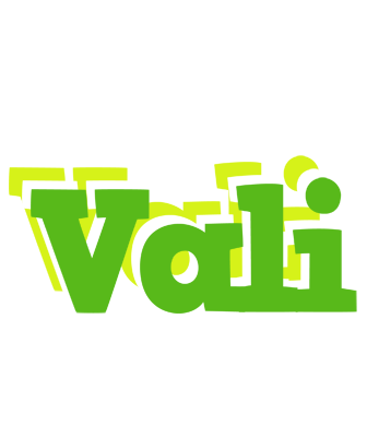 Vali picnic logo