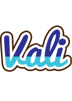 Vali raining logo