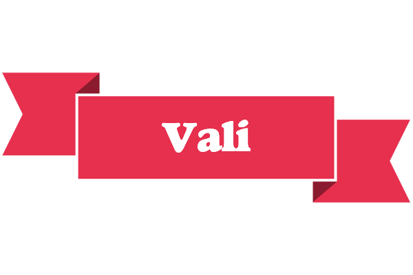 Vali sale logo