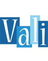 Vali winter logo