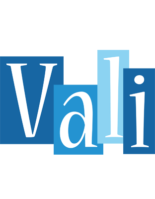 Vali winter logo