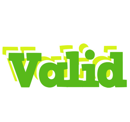 Valid picnic logo