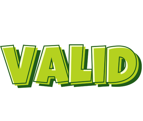 Valid summer logo