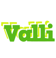 Valli picnic logo