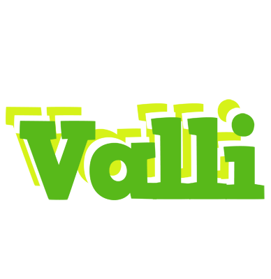 Valli picnic logo