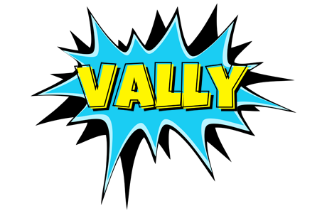 Vally amazing logo